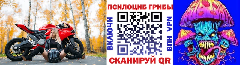 где продают наркотики  Советский  Псилоцибиновые грибы прущие грибы 