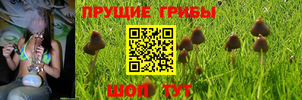 Псилоцибиновые грибы прущие грибы Советский
